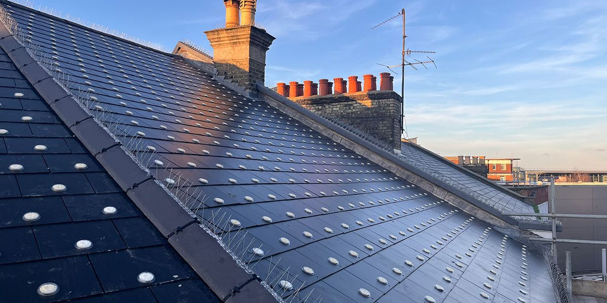 roof with spikes showcasing perching prevention